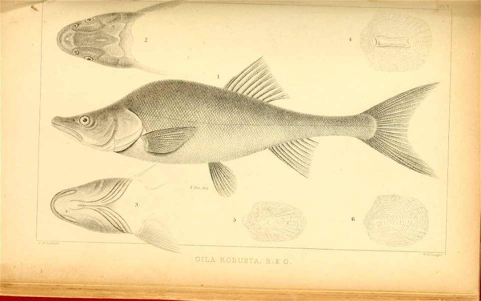 n270_w1150