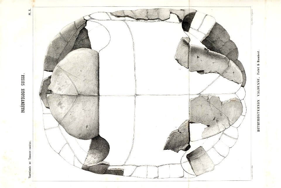 n143_w1150