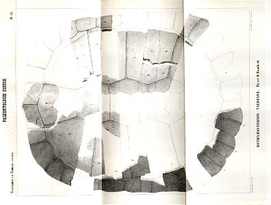 n141_w1150