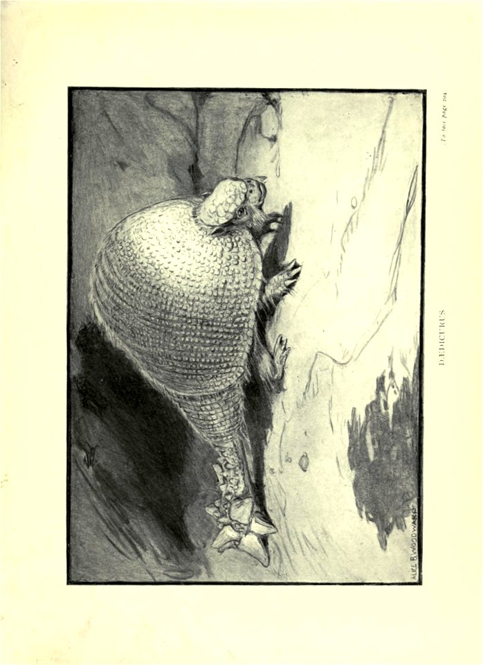 n328_w1150