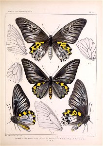 n178_w1150