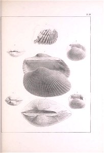 n236_w1150