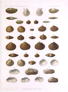 n688_w1150