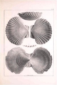n208_w1150