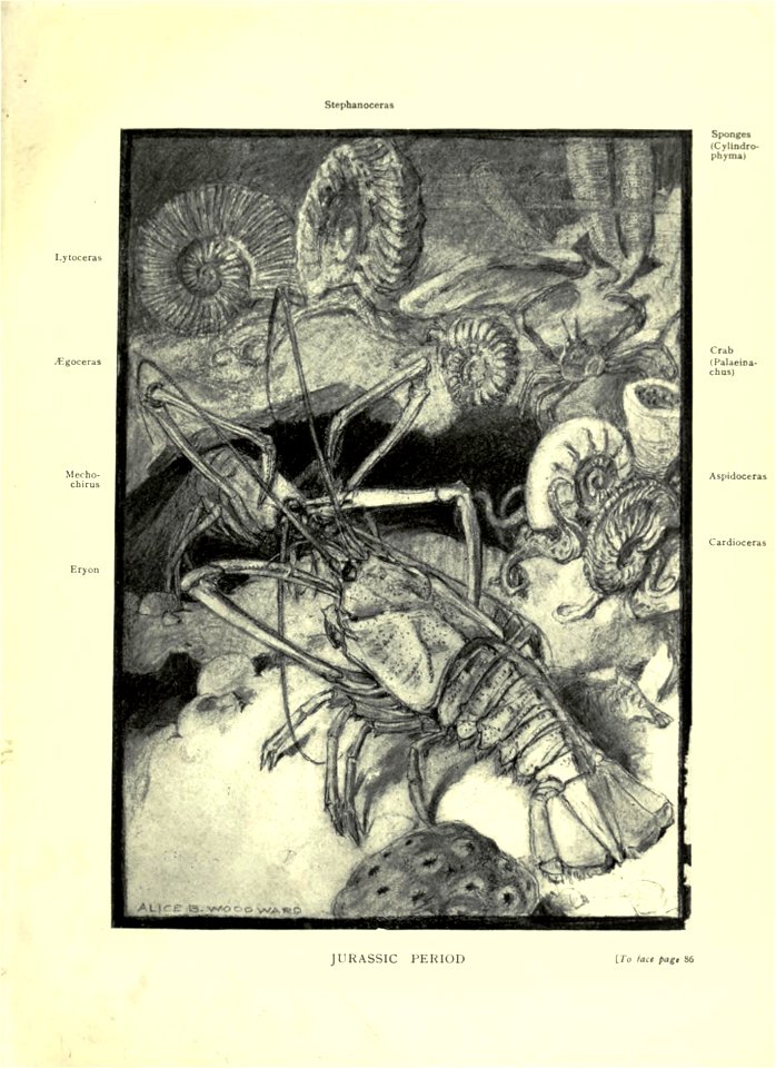n134_w1150