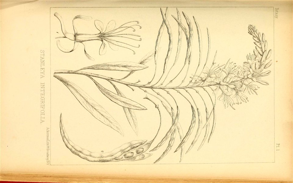 n276_w1150