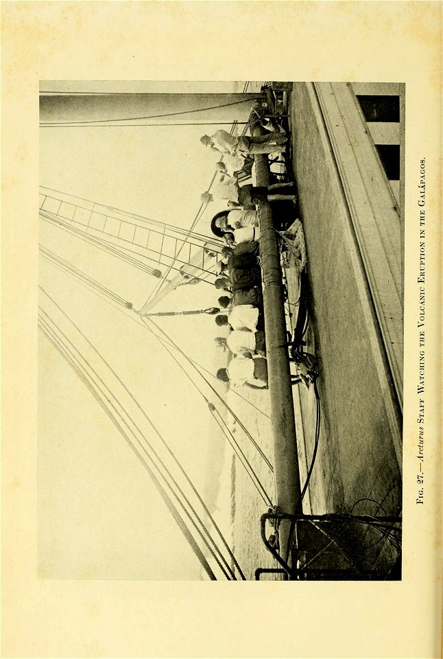 n191_w1150
