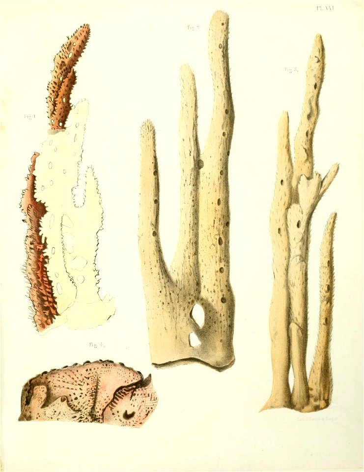n170_w1150