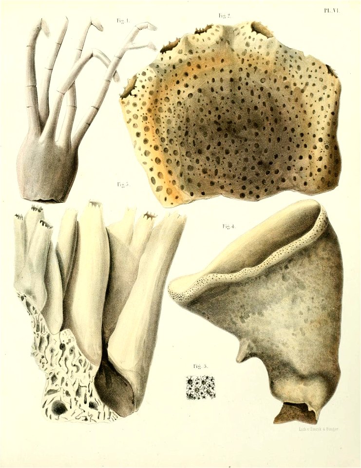n140_w1150