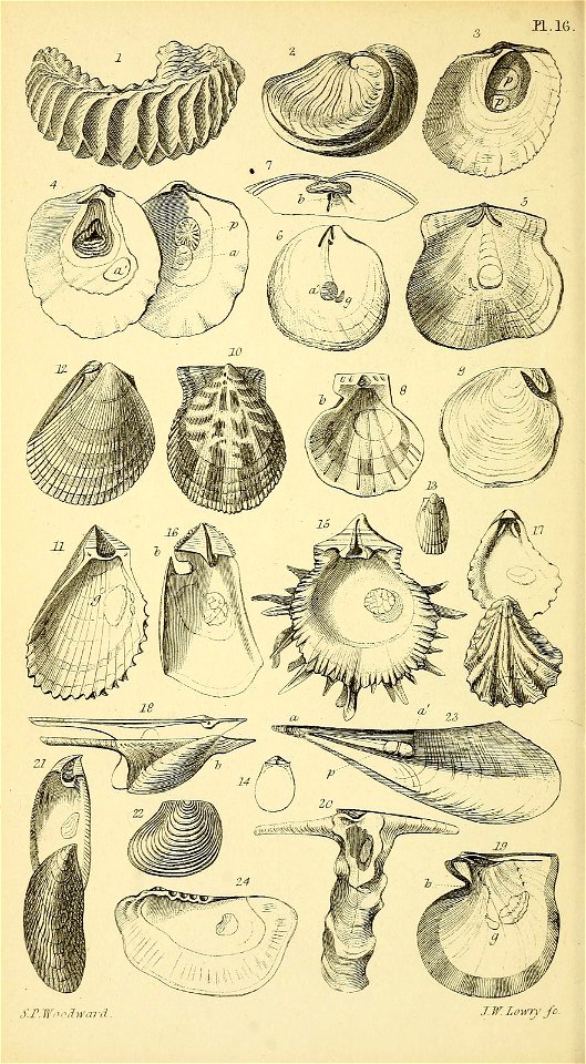 n587_w1150
