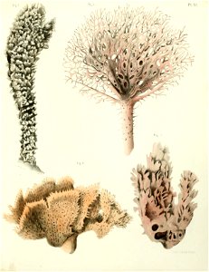 n168_w1150