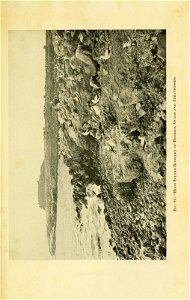 n164_w1150