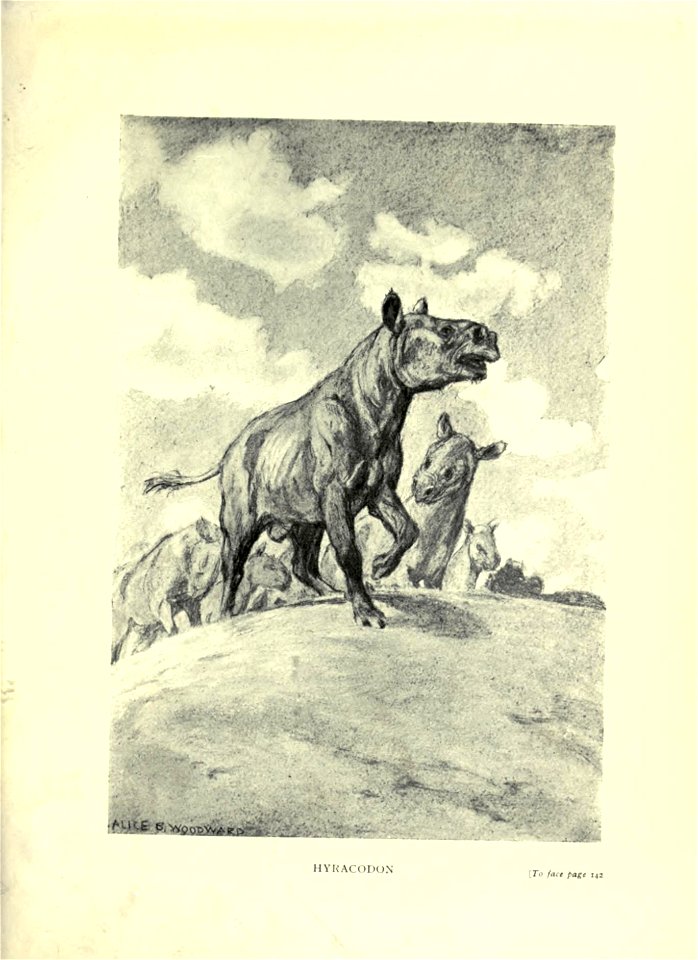 n234_w1150