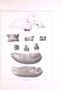 n532_w1150