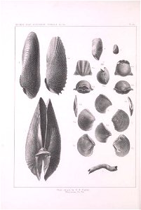 n487_w1150