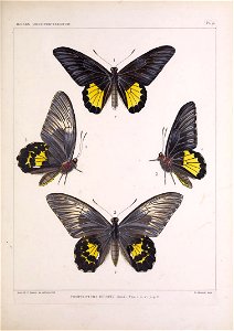 n192_w1150
