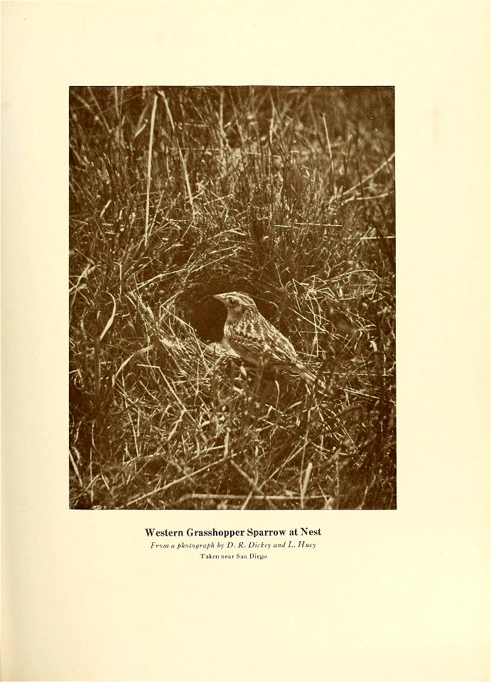 n402_w1150