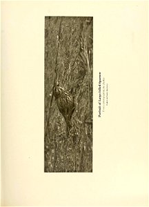 n396_w1150
