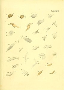 n490_w1150
