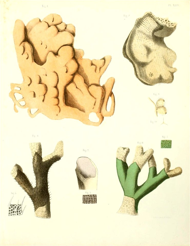 n176_w1150