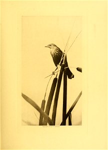 n180_w1150