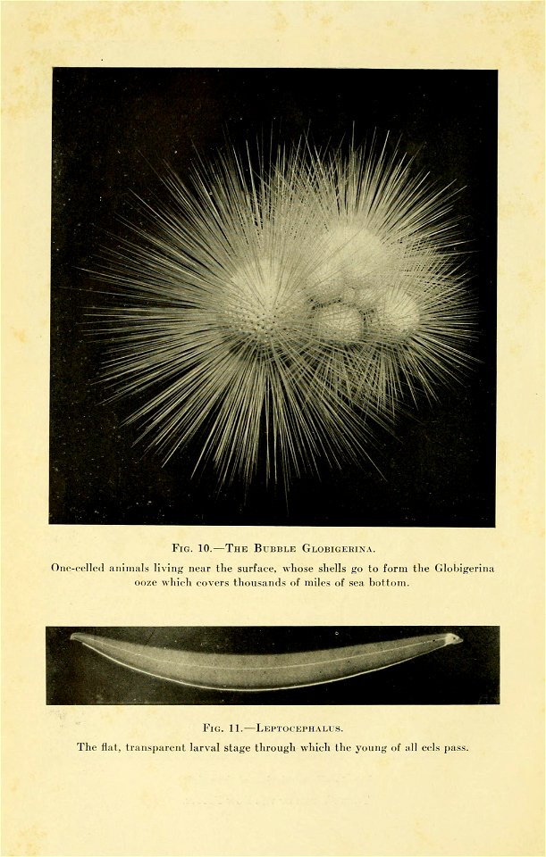 n67_w1150
