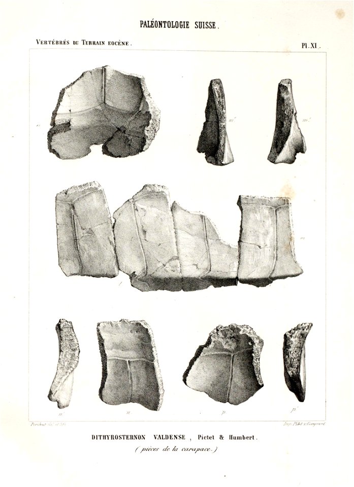 n145_w1150