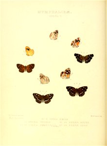 n151_w1150