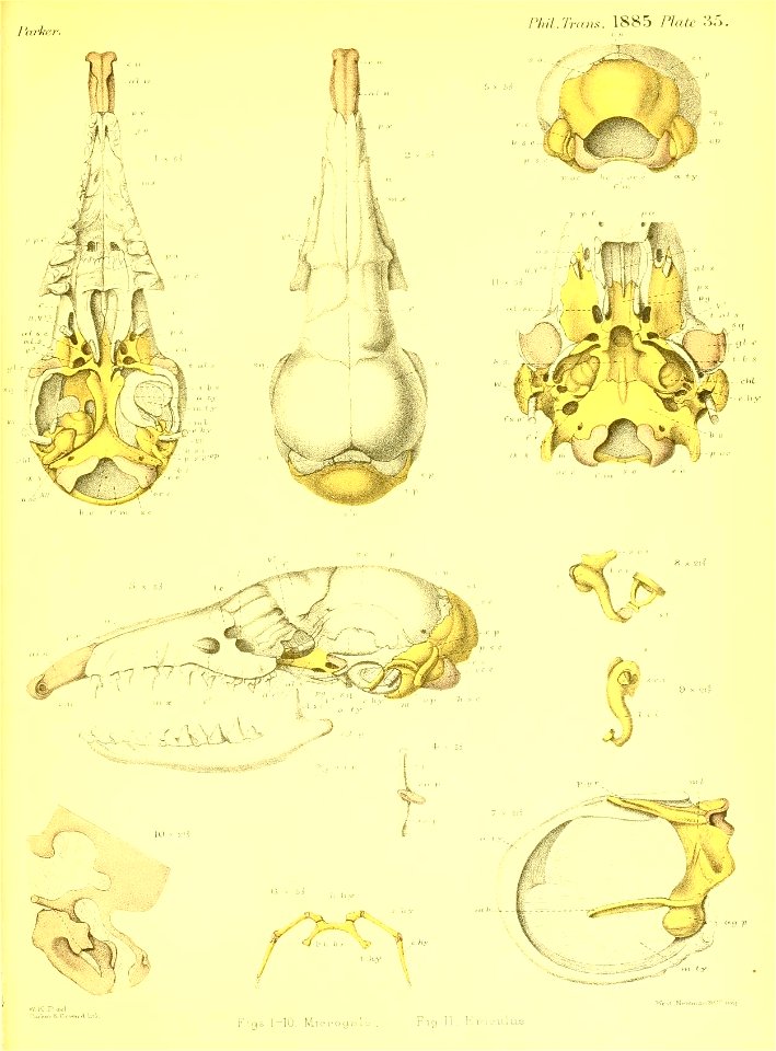 n568_w1150