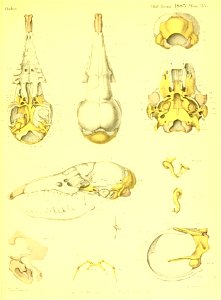 n568_w1150