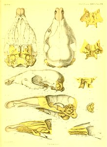 n478_w1150