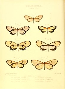n89_w1150