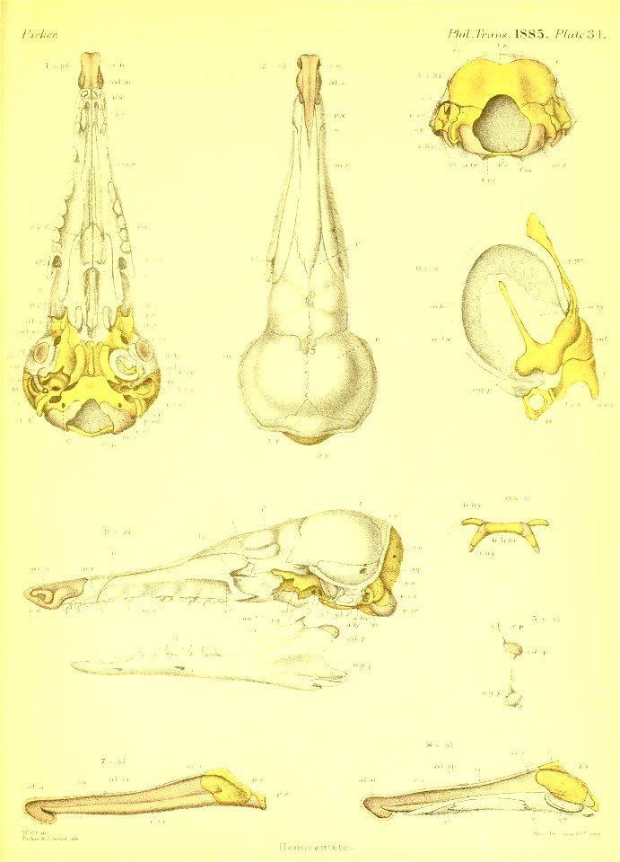 n562_w1150