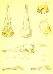 n562_w1150
