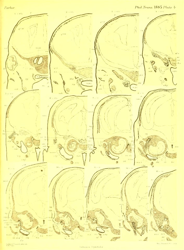 n382_w1150
