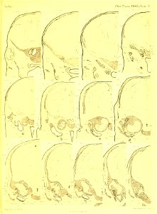 n382_w1150