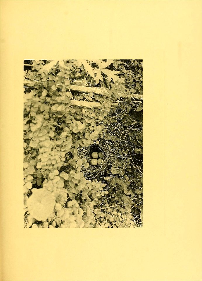 n664_w1150