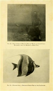 n143_w1150