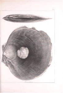 n212_w1150