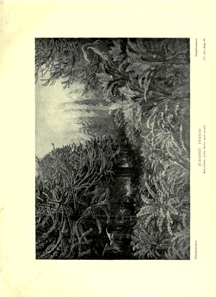 n138_w1150