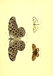 n122_w1150