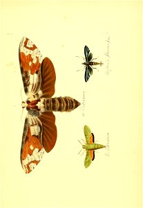 n212_w1150