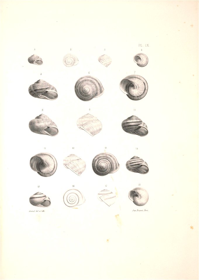 n356_w1150