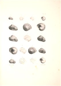 n356_w1150