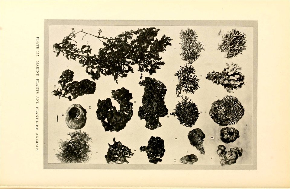 n507_w1150