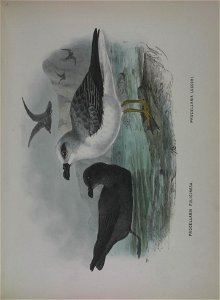 n392_w1150