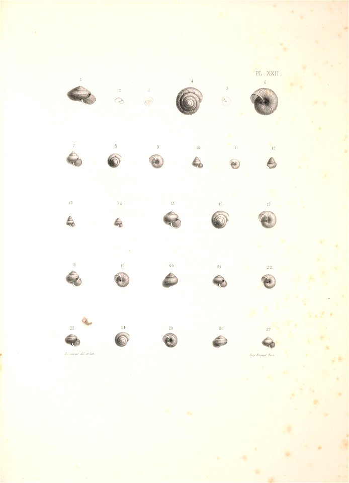 n408_w1150
