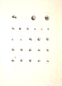 n408_w1150