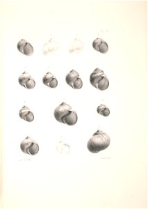 n348_w1150