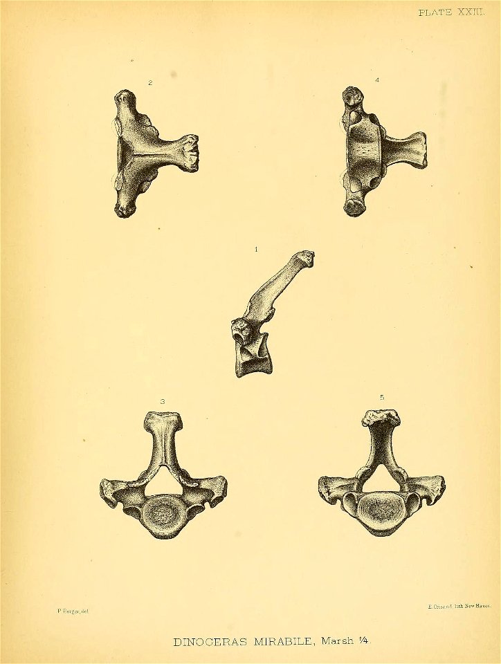 n358_w1150